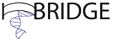 logo-bridge.png